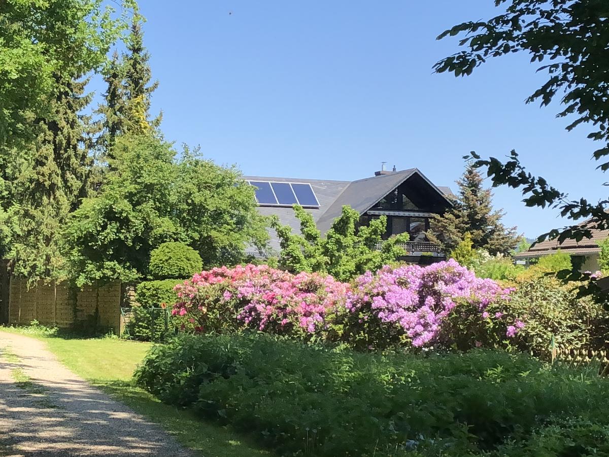 Ferienwohnung Will Walkenried Exterior foto